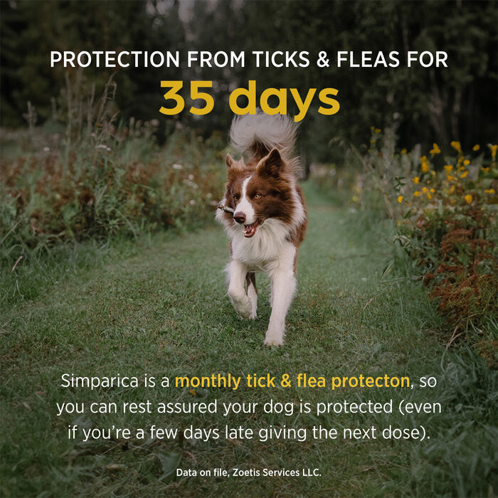 11716 11716 product detail number 1.0