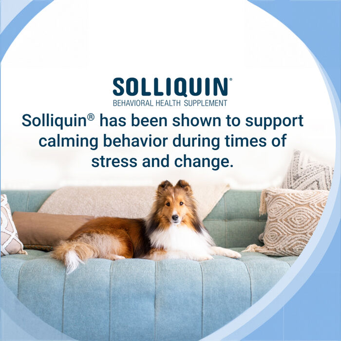 12094 product detail number 1.0