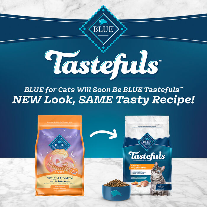 66785 product detail number 1.0