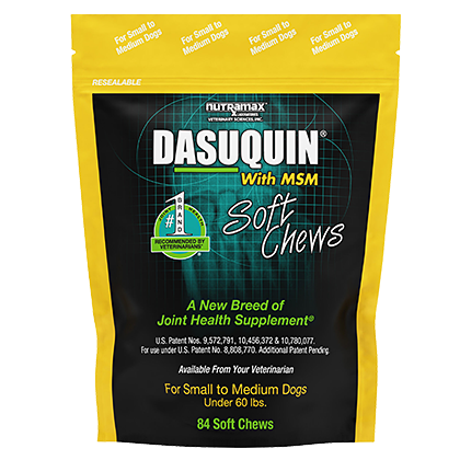 Dasuquin with MSM Soft Chews