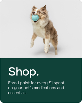 1. Shop