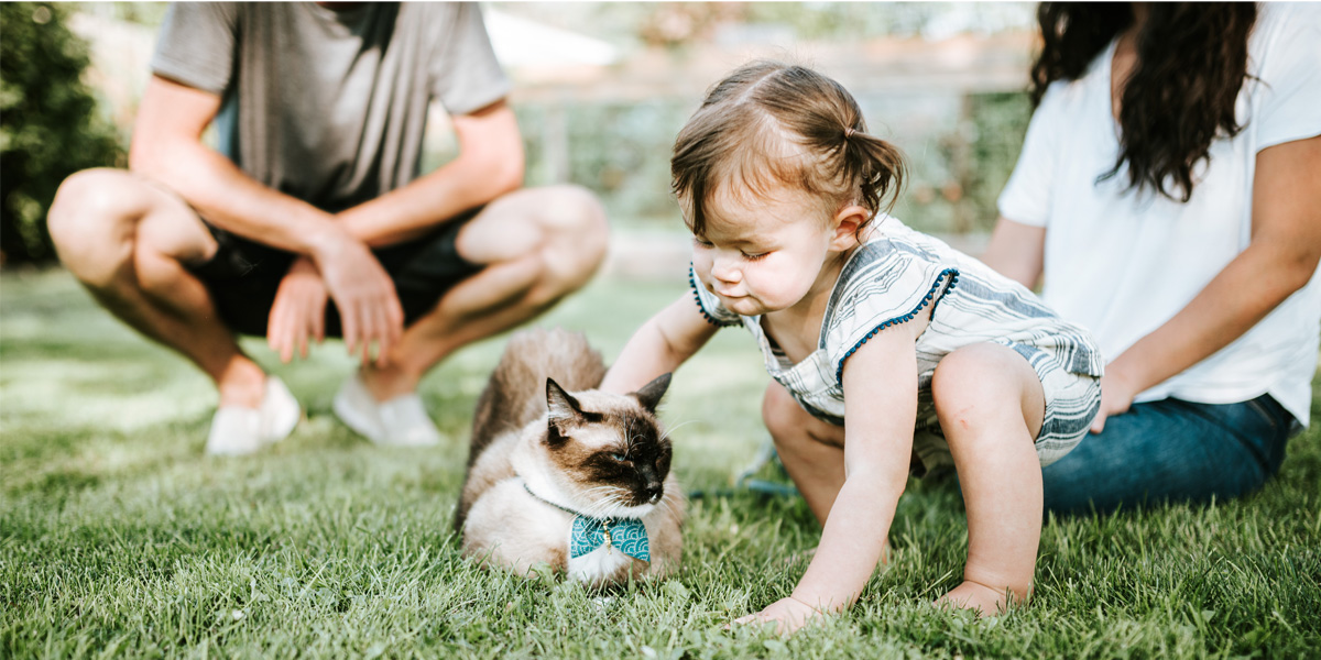 Care for pet in quarantine