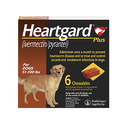 Heartgard Plus Chewables