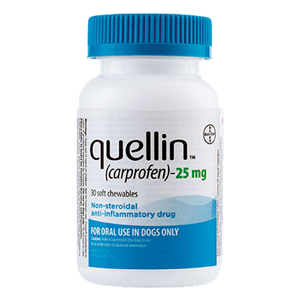 Quellin Carprofen Soft Chew - Generic to Rimadyl