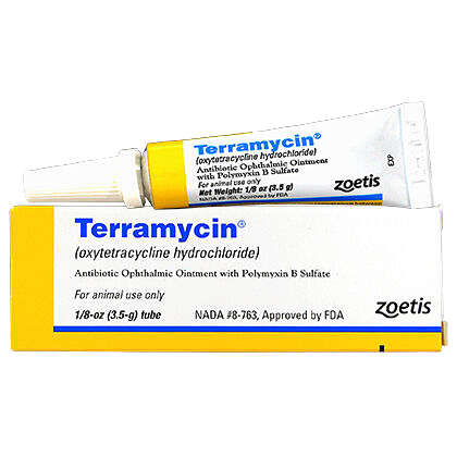 Terramycin Ophthalmic Ointment