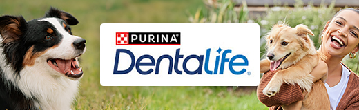 Purina Dentalife