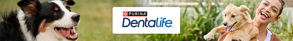 Purina Dentalife.