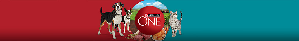 Purina ONE