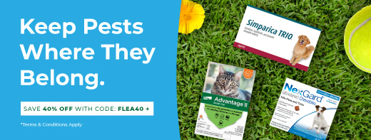 Save 40% OFF Flea, Tick & Heartworm Products