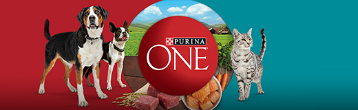 Purina ONE