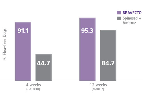 Flea Control Effectiveness with Bravecto