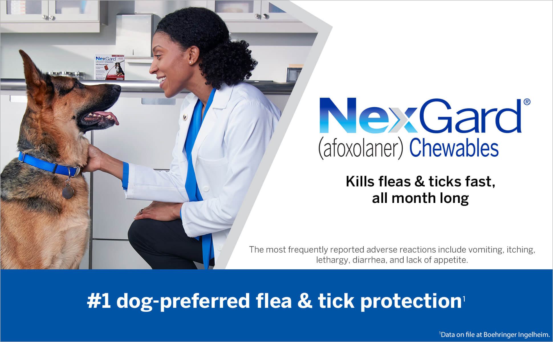 Kills fleas & ticks fast, all month long