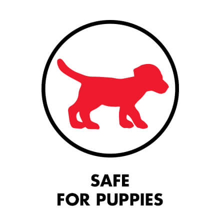 SAFE FOR PUPPIES